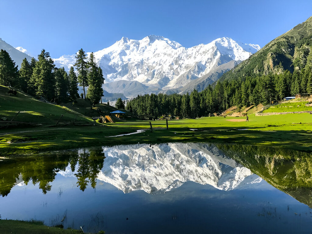 Fairy Meadows Tour